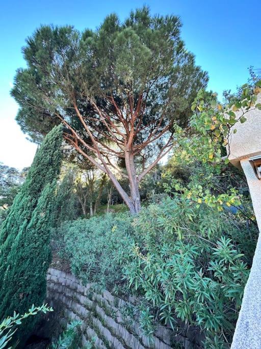 Goodlifepramousquier Classe 3 Etoiles 2 Ch, Belle Vue Et Nature, Calme Et A Pied Le Lavandou